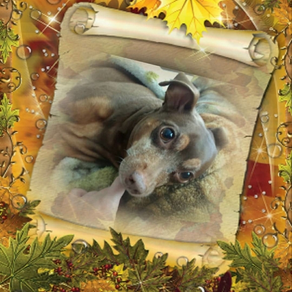 Meet your Posher, Christine - Picture 3 of 4